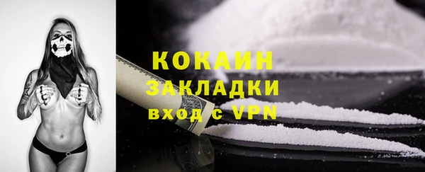 прущие грибы Абдулино