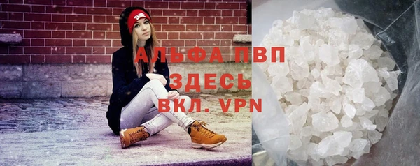 гашик Абаза