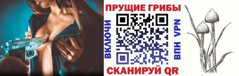 Галлюциногенные грибы Magic Shrooms  Дубна 