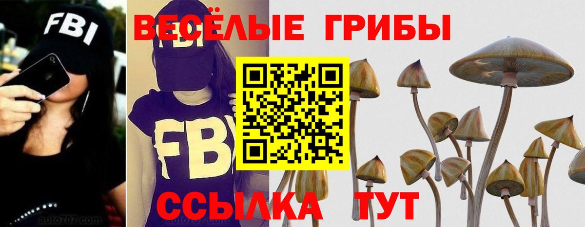Галлюциногенные грибы Magic Shrooms Дубна