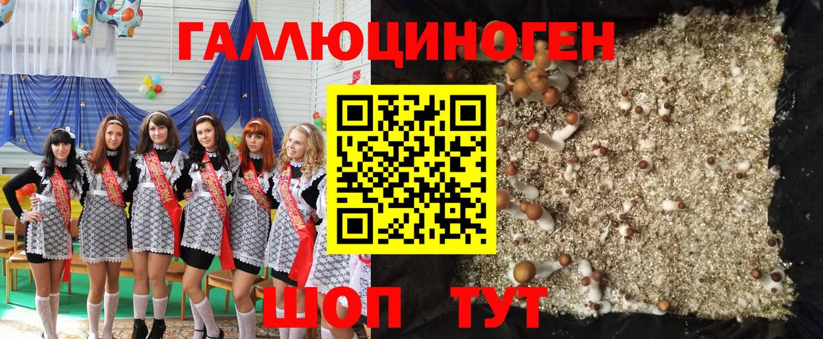 Дубна  Галлюциногенные грибы GOLDEN TEACHER  Вход с VPN 